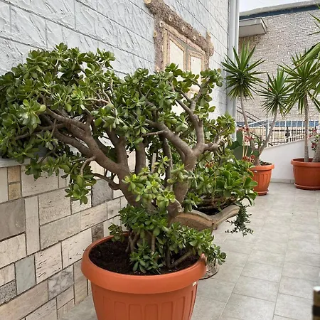 Casa Myda *