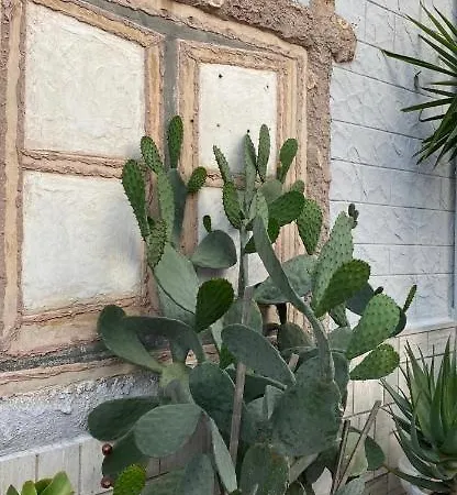 Casa Myda * Барі
